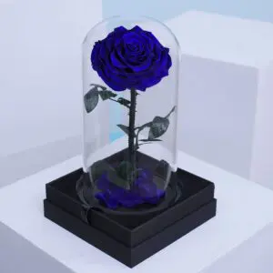 A single, deep blue rose encased in a clear glass dome on a black base.