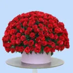 250 Red Rose Luxury Box 1 red roses - pink box
