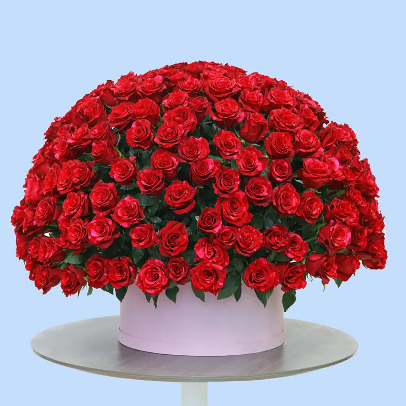 red roses - pink box Red roses arranged in dome shape in a round white box with red rose.