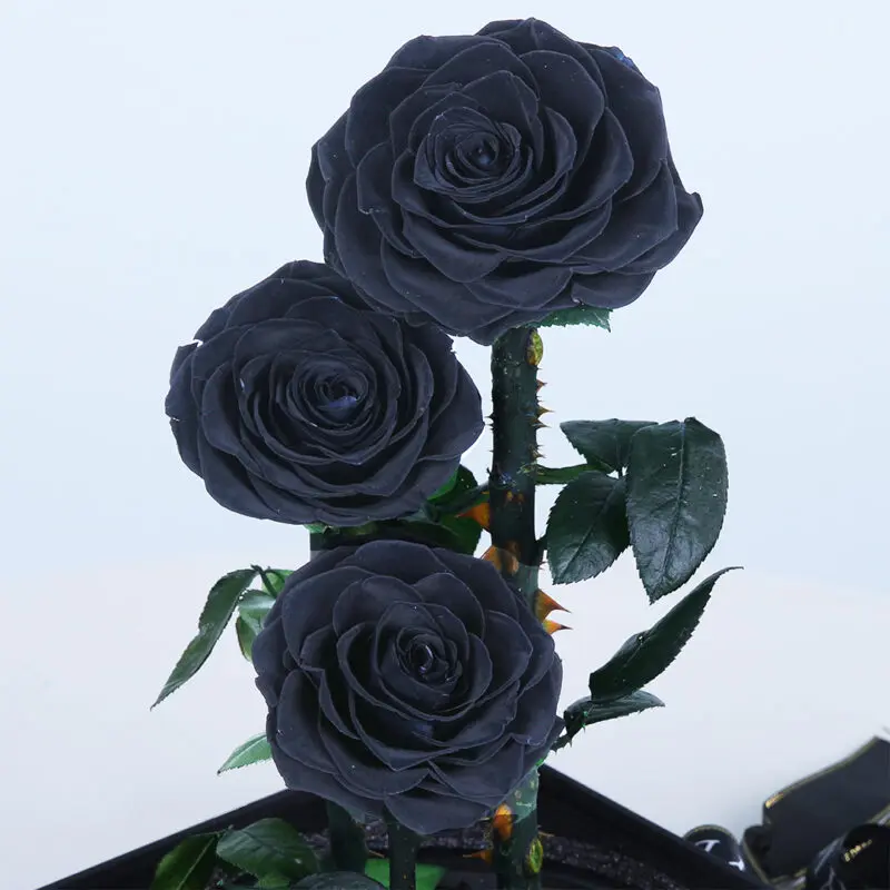 03 (32) 03 32