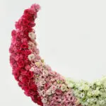 Crescent Rose Decor 4 04