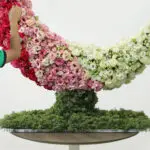 Crescent Rose Decor 5 05