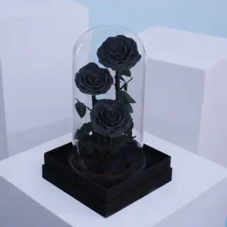 Black Preserved 3 Roses delivery in dubai arround UAE