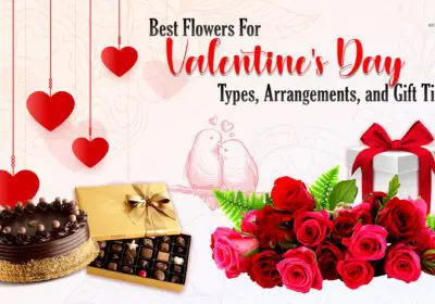 Explore the best Valentine's Day flowers, arrangements, and gift ideas. Find classic roses, exotic orchids, and creative bouquets for romantic celebrations