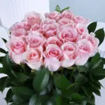 Graceful Pastel Pink Roses 3 03