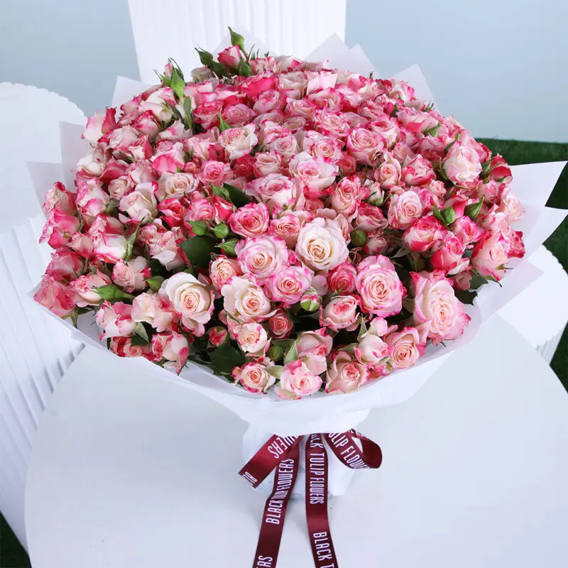 A bouquet of fresh 50 pink baby roses wrapped elegantly in a white paper and tied with a black knot.