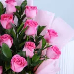 Pink Rose Surprise 4 03