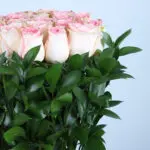 Serene Pink Roses 4 03