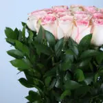 Serene Pink Roses 2 04