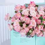 Pink 10 Baby Rose Box 4 04