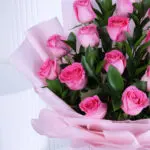 Pink Rose Surprise 2 04