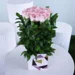 Graceful Pastel Pink Roses 1 blush-boxed-pink-roses
