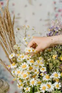 a white chamomile flower with a yellow center from a bouquet that includes other flowers and dried grasses.