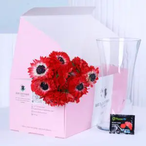 red anemone flowers 1