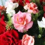 50 Mixed Roses & Lipidium Bouquet 5 05