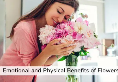 Discover the healing power of flowers and their impact on emotional and physical benefits. Explore flowers that symbolize healing and strength.