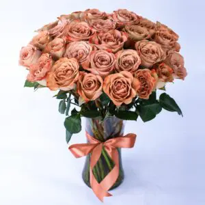 This Gorgeous Cappucino Rose will surely attract anyone’s attention. This bouquet consists of 30 stems Cappucino roses in a vase.