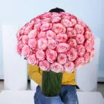 Double Colour Pink Rose Vase 1 bi-colour-pink-rose-vase-main