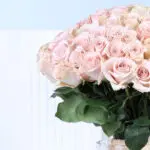 100 Cream Rose Vase Arrangement 2 03
