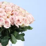 100 Cream Rose Vase Arrangement 4 04