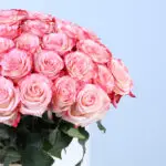 Double Colour Pink Rose Vase 4 04