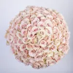 100 Cream Rose Vase Arrangement 5 05