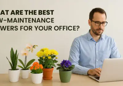 A neat office desk with a small vase of low-maintenance flowers like succulents, peace lilies, and snake plants, adding a touch of greenery to the workspace.