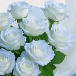 Light Blue Rose Bouquet with Balloon 2 04