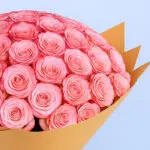Double Pink Roses Bouquet 5 2