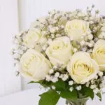 Classic White Roses in Vase 4 3