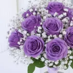 Royal Purple Roses in Vase 3 3
