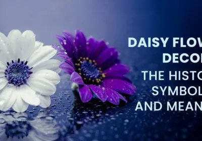 Daisy flower symbolizing purity, innocence, and new beginnings.