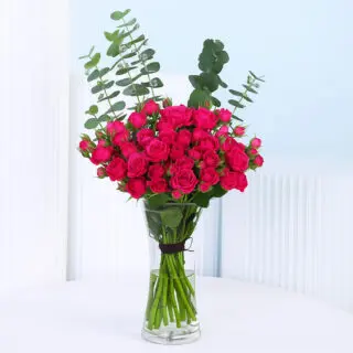 A bunch of 20 vibrant dark pink spray roses in a clear glass vase, with tall green eucalyptus leaves providing complementary foliage.