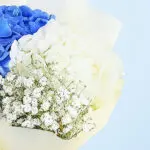 Hydrangea Cake Duo 4 04