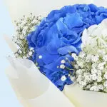 Hydrangea Cake Duo 5 05