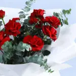classic-red-roses-bouquet_2026_02