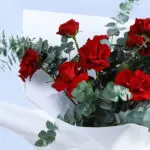 classic-red-roses-bouquet_2026_03