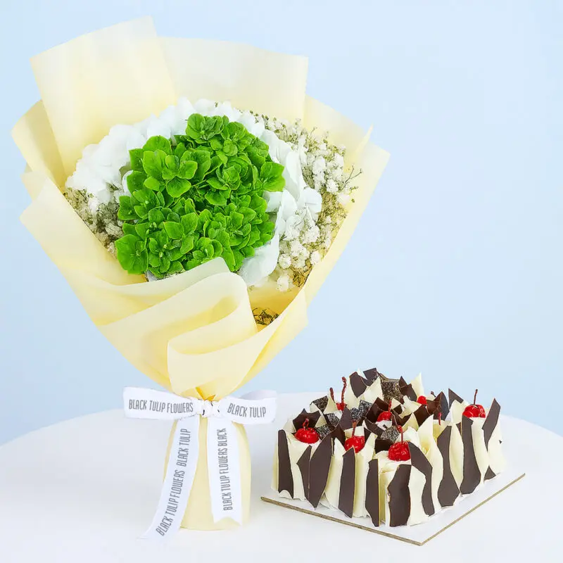 green-hydrangea-bouquet-cake-combo-01-08 A bouquet of white and green hydrangeas and baby's breath wrapped in light yellow and a square black forest cake