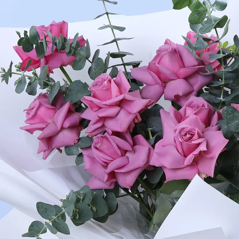 purple-roses-&-eucalyptus-bouquet_2026_03 purple roses eucalyptus bouquet 2026 03
