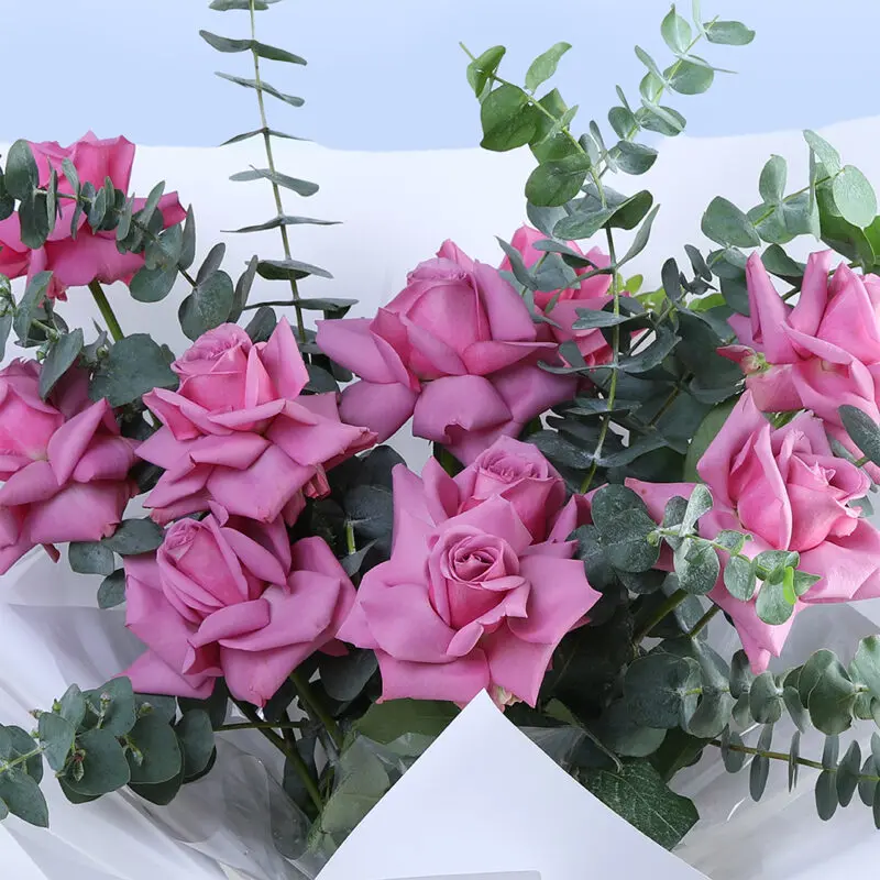purple-roses-&-eucalyptus-bouquet_2026_04 purple roses eucalyptus bouquet 2026 04