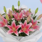 Pink Lilies & Cheerful Balloons 4 04