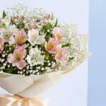 Elegant Alstroemeria & Cheesecake Duo 4 04