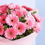 Joyful Pink Gerbera & Cake 4 04