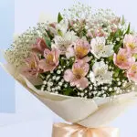 Elegant Alstroemeria & Cheesecake Duo 5 05