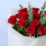 Red Roses & Cake Combo 5 05