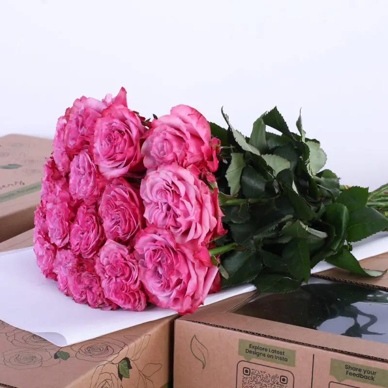 Rose Ecuador Country Blues Lilac 2