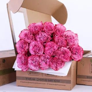 Rose Ecuador Country Blues Lilac bunch of rosees