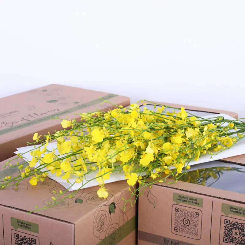 golden wish oncidium honey angel yellow 2