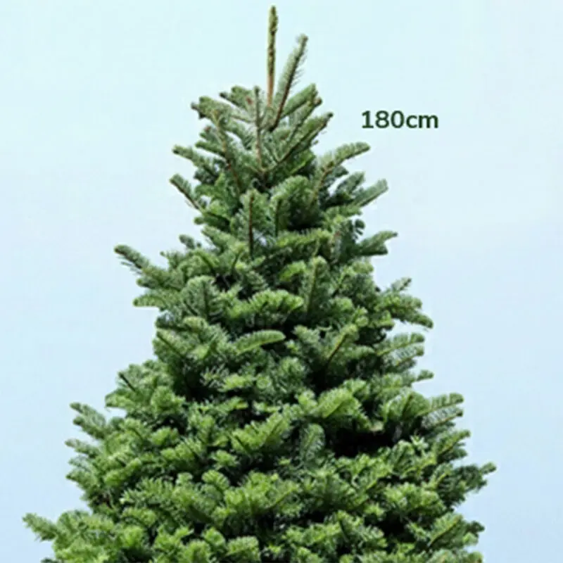 6-7ft-fresh-christmas-tree-with-stand-02 6 7ft fresh christmas tree with stand 02