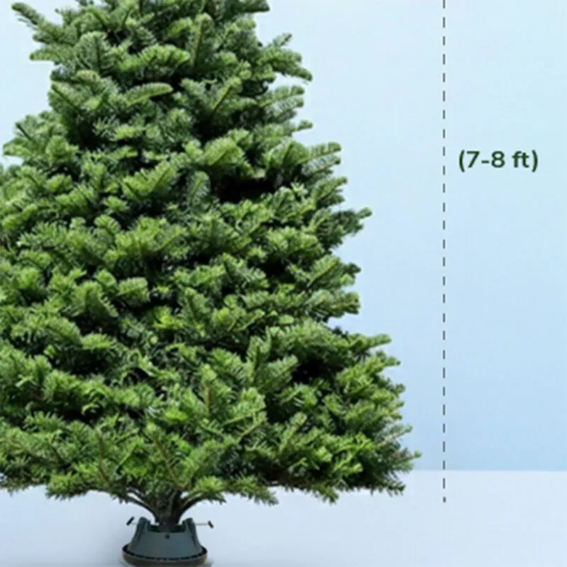 7-8ft-fresh-christmas-tree-with stand-03 7 8ft fresh christmas tree with stand 03